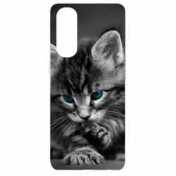 Чохол для Oppo Reno 4 Pro Gray cat - PrintSalon