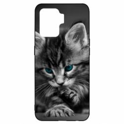 Чохол для Oppo Reno 5 Lite Gray cat - PrintSalon