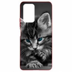 Чохол для Xiaomi Redmi Note 10 Pro Gray cat - PrintSalon