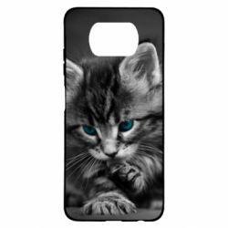 Чохол для Xiaomi Poco X3 Gray cat - PrintSalon
