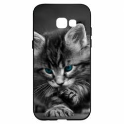 Чохол для Samsung A5 2017 Gray cat - PrintSalon