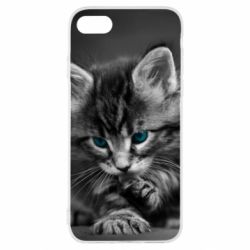 Чохол для iPhone SE 2022 Gray cat - PrintSalon