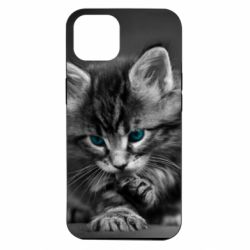 Чохол для iPhone 14 Gray cat - PrintSalon