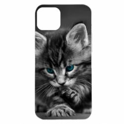 Чохол для iPhone 14 Plus Gray cat - PrintSalon