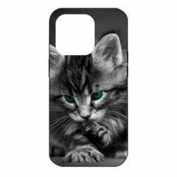 Чохол для iPhone 14 Pro Gray cat - PrintSalon
