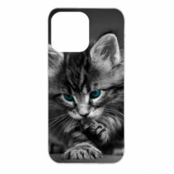 Чохол для iPhone 14 Pro Max Gray cat - PrintSalon