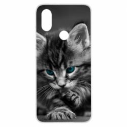 Чохол для Xiaomi Mi A2 Gray cat - PrintSalon