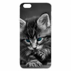 Чохол для iPhone 6 Plus/6S Plus Gray cat - PrintSalon