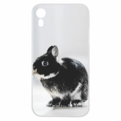Чохол для iPhone XR Gray rabbit - PrintSalon