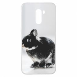 Чохол для Xiaomi Pocophone F1 Gray rabbit - PrintSalon