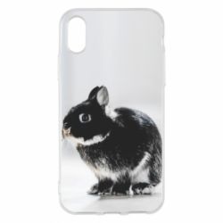 Чехол для iPhone X/Xs Gray rabbit-PrintSalon Чехол для iPhone X/Xs Gray rabbit