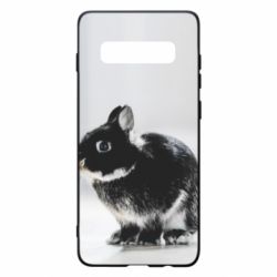 Чохол для Samsung S10+ Gray rabbit - PrintSalon