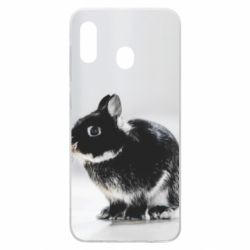 Чохол для Samsung A30 Gray rabbit - PrintSalon