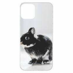 Чохол для iPhone 11 Gray rabbit - PrintSalon
