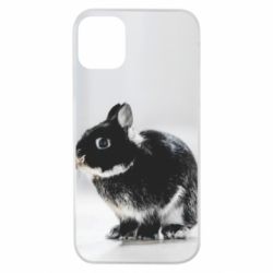 Чохол для iPhone 11 Pro Gray rabbit-PrintSalon Чохол для iPhone 11 Pro Gray rabbit
