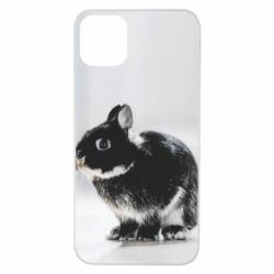 Чохол для iPhone 11 Pro Max Gray rabbit - PrintSalon