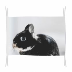 Прапор Gray rabbit