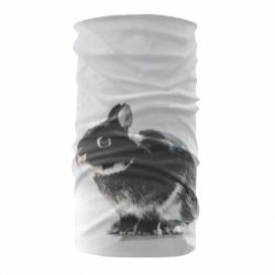 Бандана Gray rabbit - PrintSalon