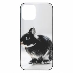 Чохол для iPhone 12 Gray rabbit - PrintSalon