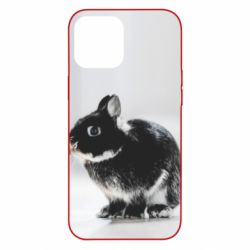 Чохол для iPhone 12 Pro Max Gray rabbit - PrintSalon