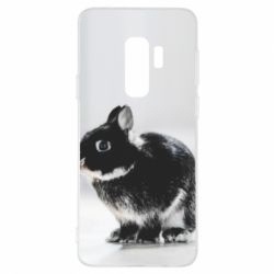 Чохол для Samsung S9+ Gray rabbit - PrintSalon