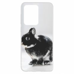 Чохол для Samsung S20 Ultra Gray rabbit - PrintSalon