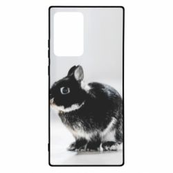 Чохол для Samsung Note 20 Ultra Gray rabbit - PrintSalon
