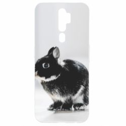 Чехол для Oppo A5/A9 2020 Gray rabbit-PrintSalon Чехол для Oppo A5/A9 2020 Gray rabbit