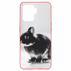 Чохол для Oppo Reno 5 Lite Gray rabbit - PrintSalon