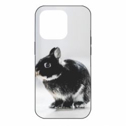 Чохол для iPhone 14 Pro Gray rabbit-PrintSalon Чохол для iPhone 14 Pro Gray rabbit