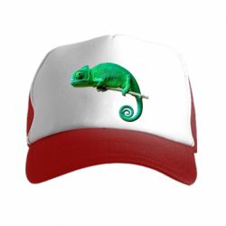 Кепка-тракер Хамелеон - PrintSalon