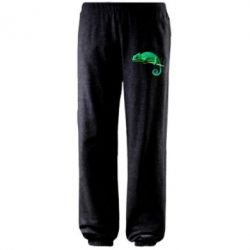 Штаны Хамелеон - PrintSalon