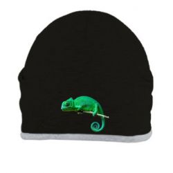 Шапка Хамелеон - PrintSalon