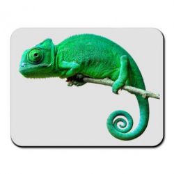 Коврик для мыши Хамелеон - PrintSalon