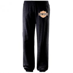 Штаны Harley-Davidson logo - PrintSalon