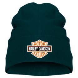 Детская шапка Harley-Davidson logo - PrintSalon