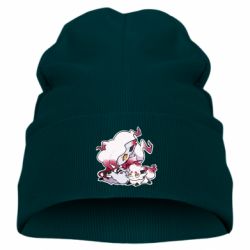 Дитяча шапка Hisuian Zoroark and Zorua - PrintSalon