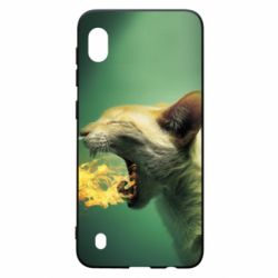 Чохол для Samsung A10 Hot cat - PrintSalon