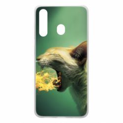 Чохол для Samsung A60 Hot cat - PrintSalon