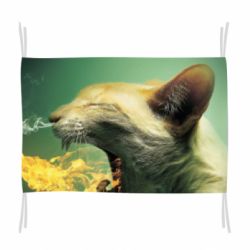 Прапор Hot cat - PrintSalon