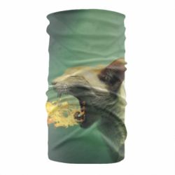 Бандана Hot cat - PrintSalon