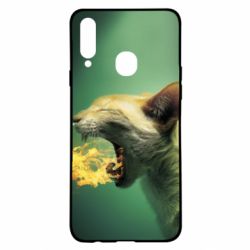 Чохол для Samsung A20s Hot cat - PrintSalon