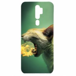Чохол для Oppo A5/A9 2020 Hot cat - PrintSalon
