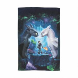 Рушник з принтом How to Train Your Dragon: The Hidden World - PrintSalon