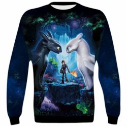 3D світшот How to Train Your Dragon: The Hidden World - PrintSalon