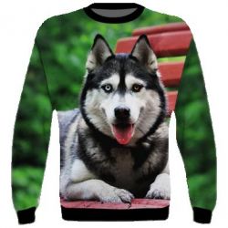3D світшот Husky on the bench-PrintSalon 3D світшот Husky on the bench