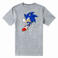 Чоловіча преміум футболка Ёж Соник - PrintSalon