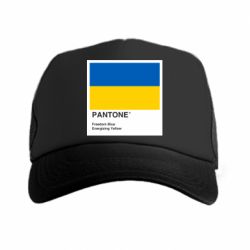 Кепка-тракер Color of 2022