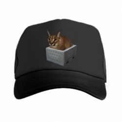 Кепка-тракер Шлепа в тазике - PrintSalon