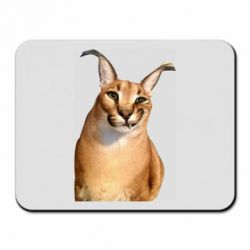 Коврик для мыши Большой шлёпа - PrintSalon